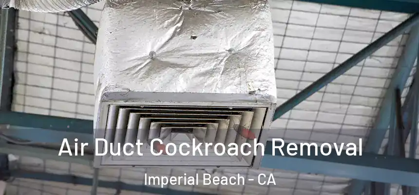  Air Duct Cockroach Removal Imperial Beach - CA