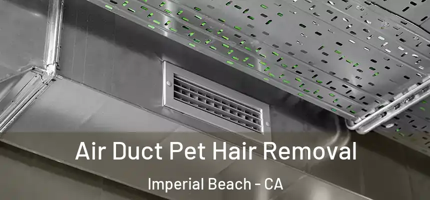 Air Duct Pet Hair Removal Imperial Beach - CA