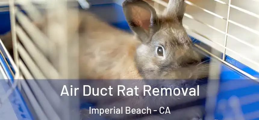  Air Duct Rat Removal Imperial Beach - CA
