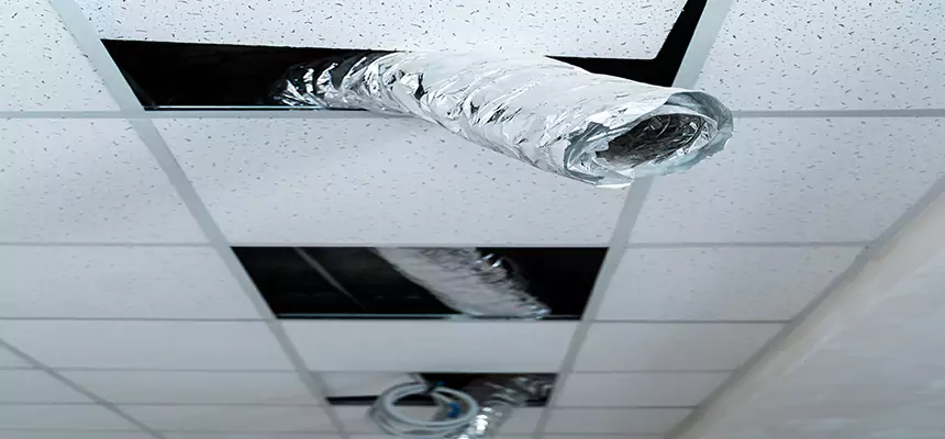 Our Air Duct Pet Hair Removal Services in Imperial Beach, CA