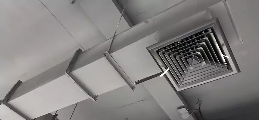 Our Rodent Droppings In Vents Services in Imperial Beach, CA