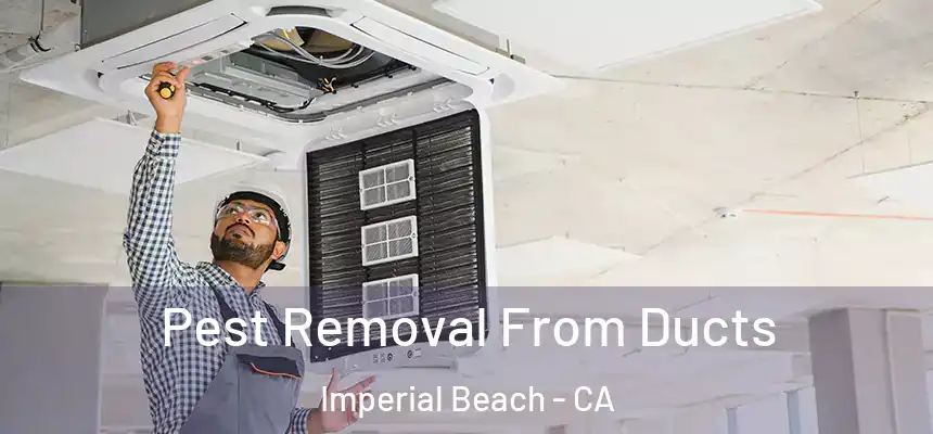  Pest Removal From Ducts Imperial Beach - CA