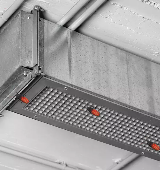 About Air Duct Cockroach Removal in Imperial Beach, CA