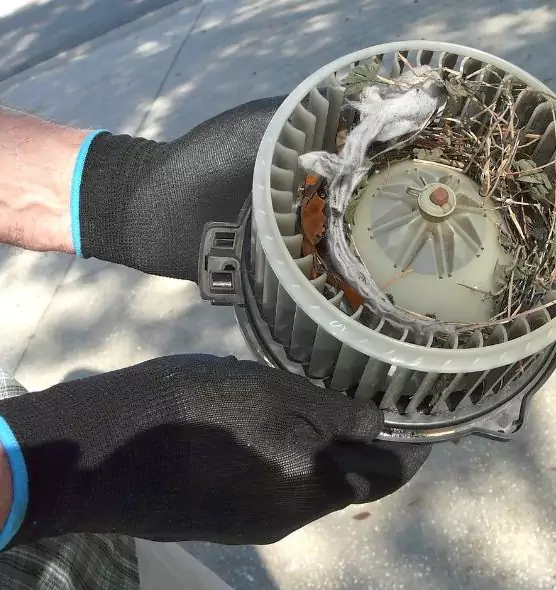 About Air Duct Rat Removal in Imperial Beach, CA