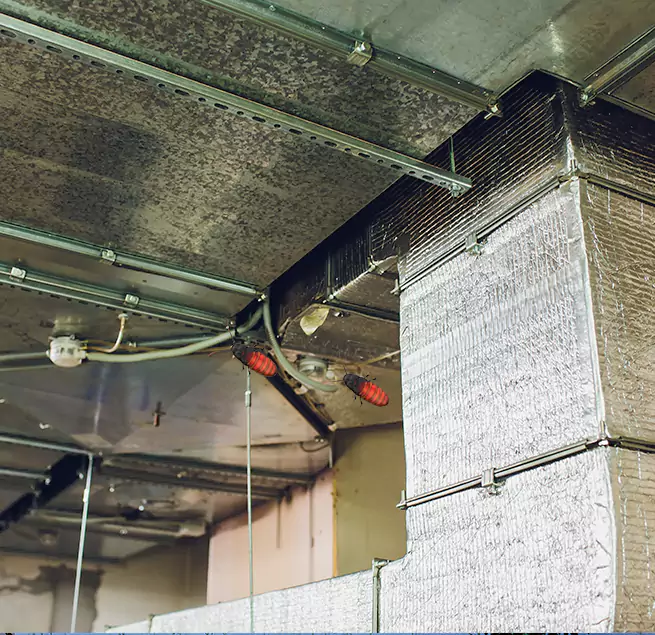 Why Homeowners & Businesses Trust Us in Imperial Beach, CA?