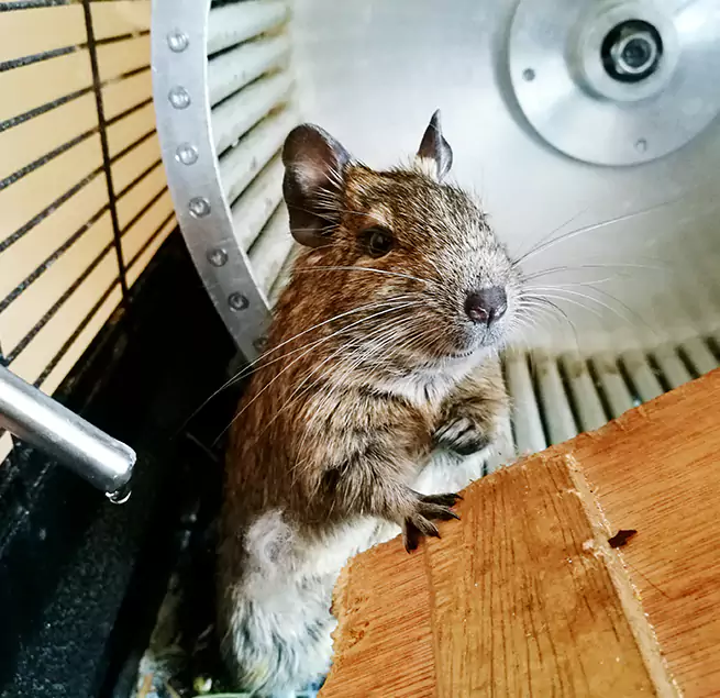 Why Homeowners & Businesses Trust Us Imperial Beach, CA?