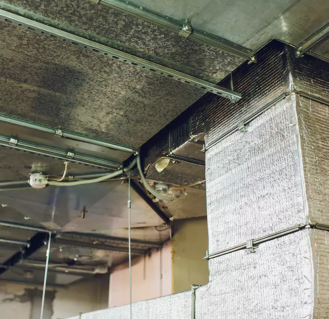 Why Homeowners & Businesses Trust Us in Imperial Beach, CA?